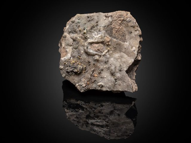 1з - Зразок № 98. Самородне золото на кварці. Родовище Кремніца, округ Ж'яр-над-Гроном, Банськобистрицький край, Словаччина. Розміри зразка 8,5х7,5х3,5см, до 1880 р. Фото Сергія Кадуліна.