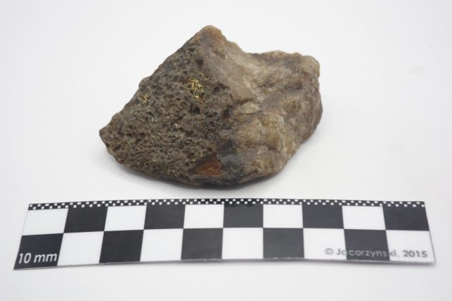 9з - Зразок № 6122. Вкраплення самородного золота в кварці. Родовоище Сітка, о-в Унга, Східні Алеутські острови, штат Аляска, США. Розміри зразка 7х4,5х3 см, 1893, дилер F. Radego. Фото Романа Метельського.